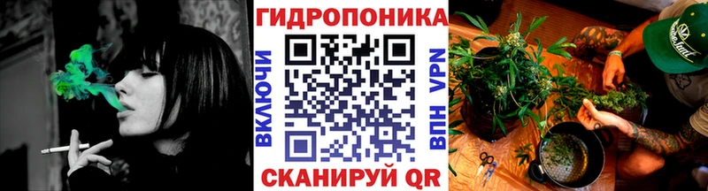 Бошки Шишки Amnesia  Белёв 